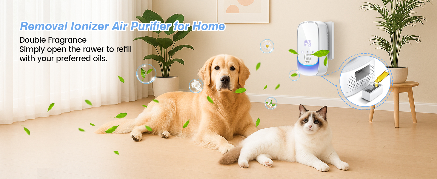 Ozone Odor Eliminator