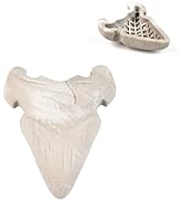 Hyper Pet Fossil Durable Dog Slow Feeder, Dog Chew Toy, and Interactive Dog Toy All in One (Bacon...