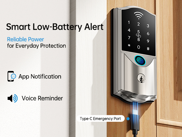 Low Battery Alert