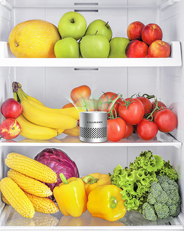fridge deodorizer