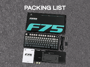 F75 PRO Gradient Grey