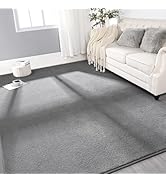 Gifeas Large Ultra Soft Modern Area Rugs for Living Room Bedroom, 4x6 Feet Grey Thickened Memory ...