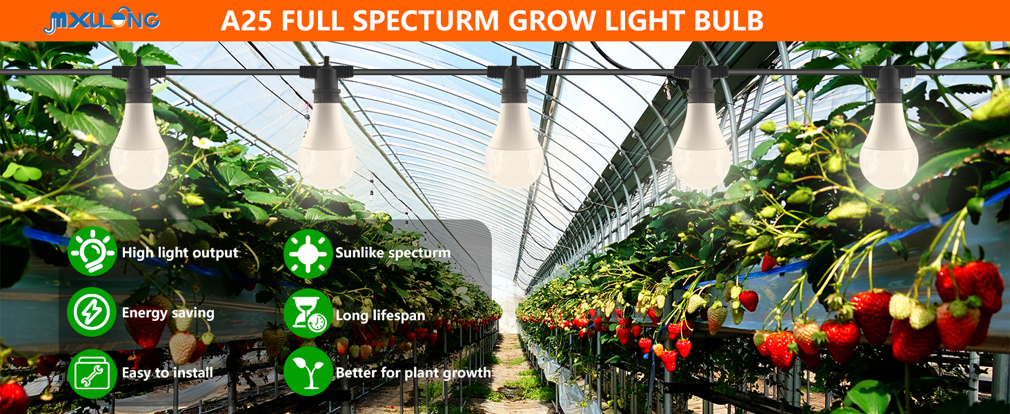 product presentation