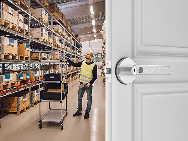 Electric Door Knob Silver