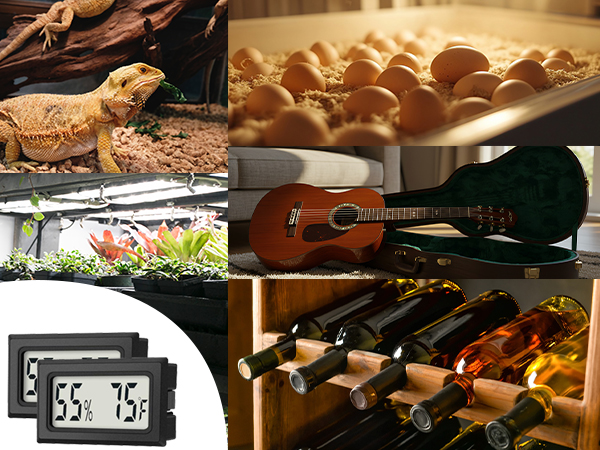 hygrometer for incubator