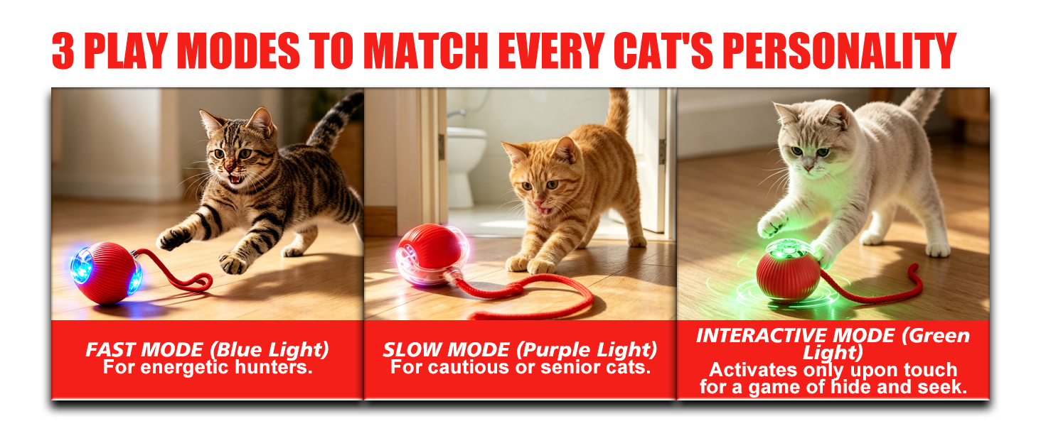 Electric cat ball toy