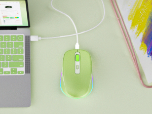 rechargeable mouse
