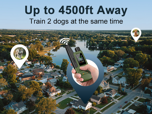 dog training collar with remote