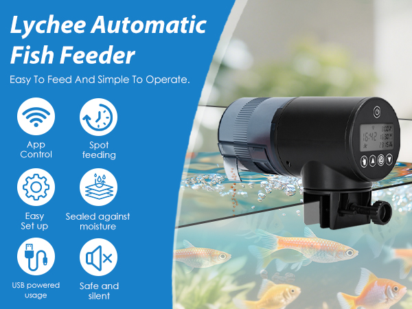 Fish Feeder