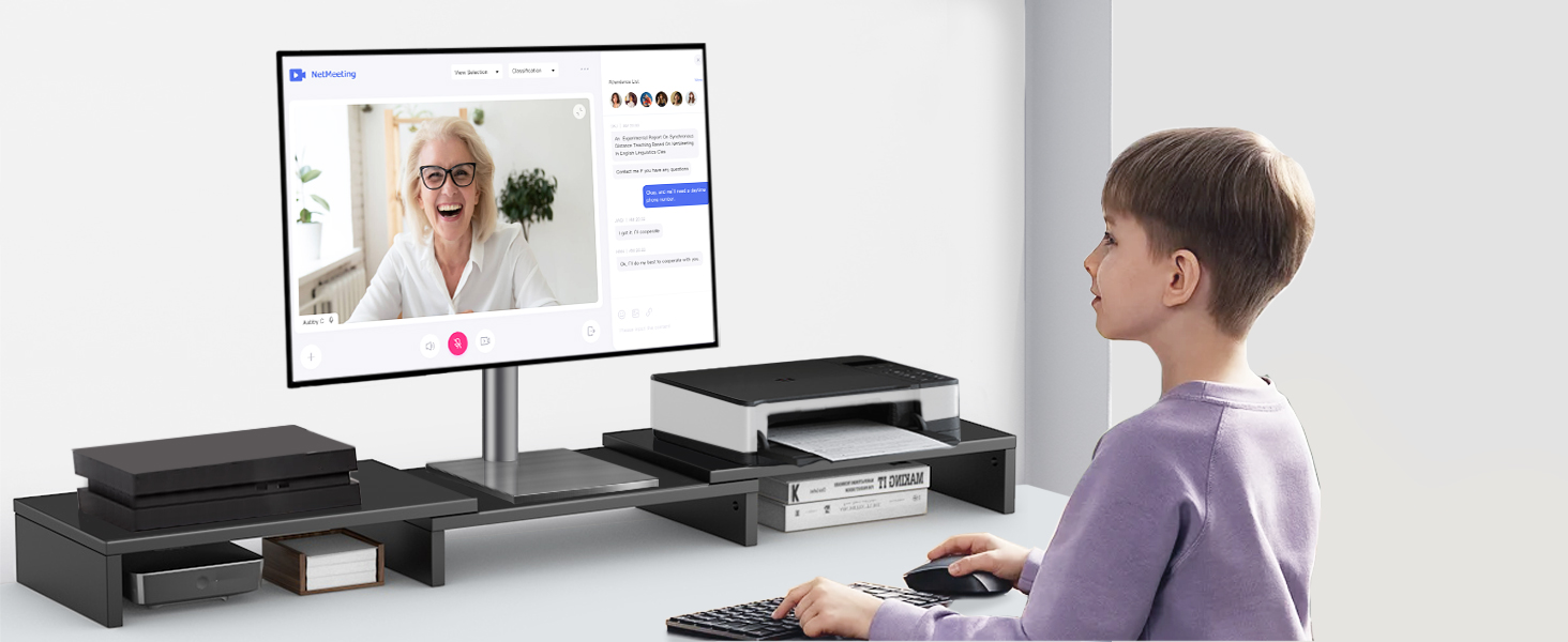 double monitor stand