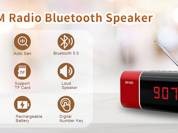 FM Radio Bluetooth Speaker