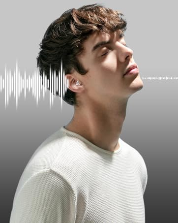 high fidelity ear plugs concert ear plugs