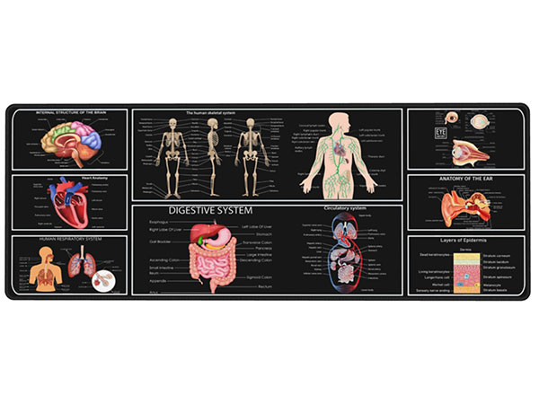 Medical Human Desk Mat