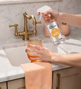 washing cup with dish spray