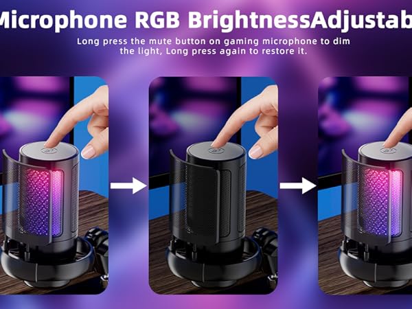 USB Microphone for PC