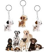 VINGVO 3PCS Pet Hair Memorial Keychain, Dog Fur Storage Bottle with Secure Snap Lid, Transparent ...