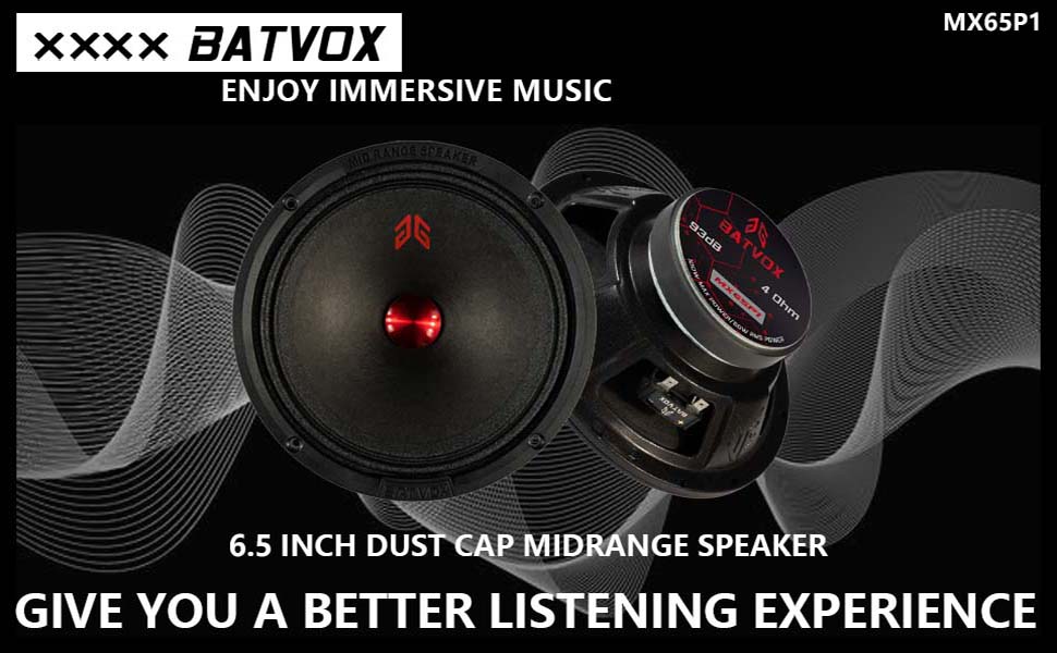 car speaker