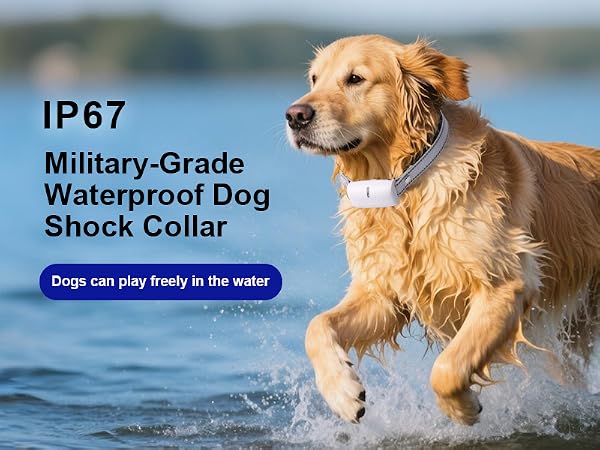 shock collar for dogs waterproof