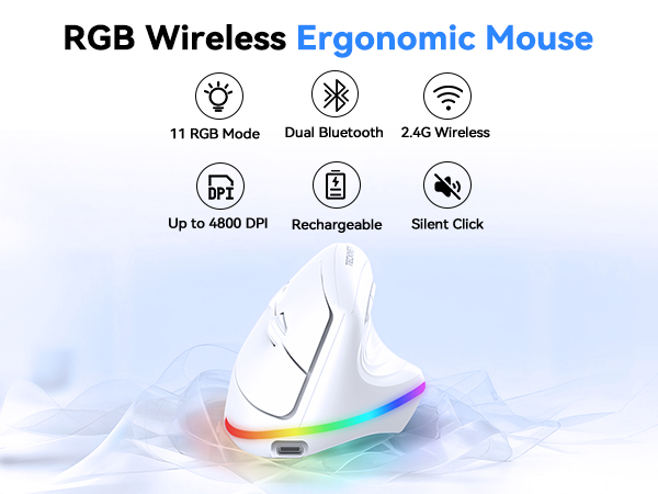 RGB Ergonomic Mouse