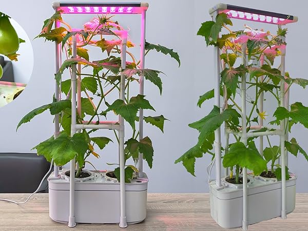 hydroponics growing system kit