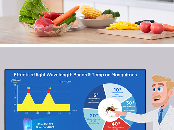 nat traps for indoors