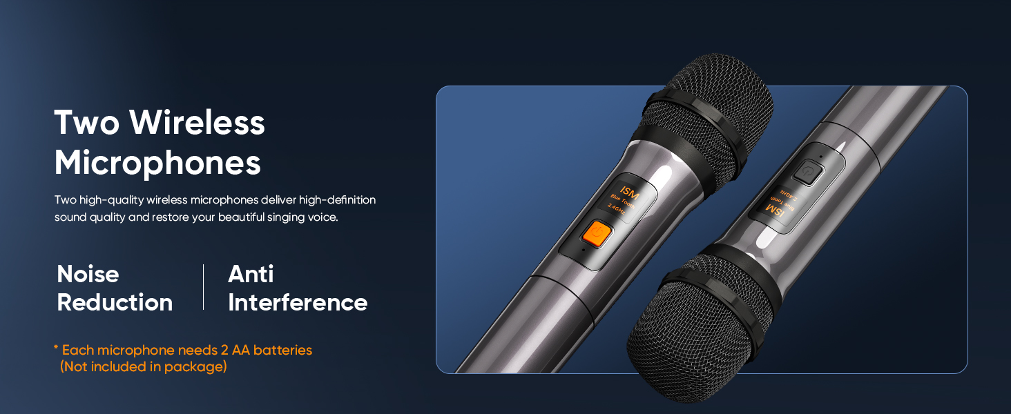 2 WIRELESS MICROPHONES