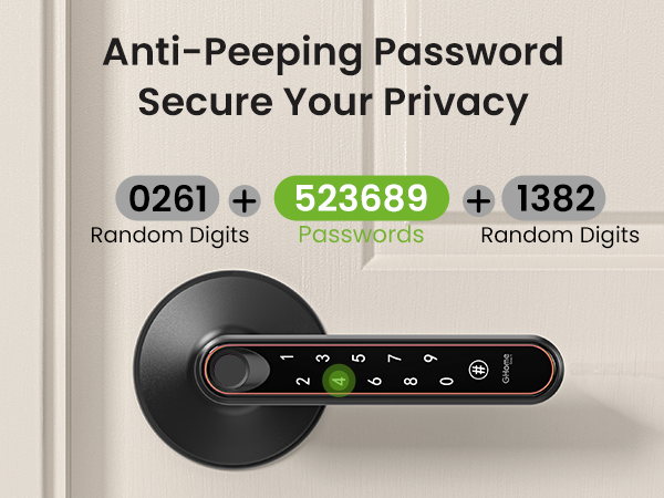 fingerprint door knob with handle