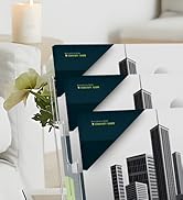 MaxGear Brochure Holder 3 Tier 8.5x11 inches with Removable Divider for 4"x9" Brochures Display S...