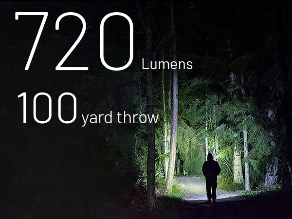 A person walking at night along a wooded path