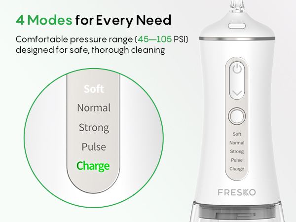 Water Dental Flosser