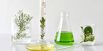 crochet patagonia neoprene kavu medium canvas leather single lug woman morrales mochilas