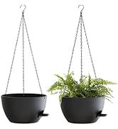 SQKH 12 Inch Hanging Baskets 2 PC with Chains, Self-Watering Hanging Planters for Indoor Outdoor ...
