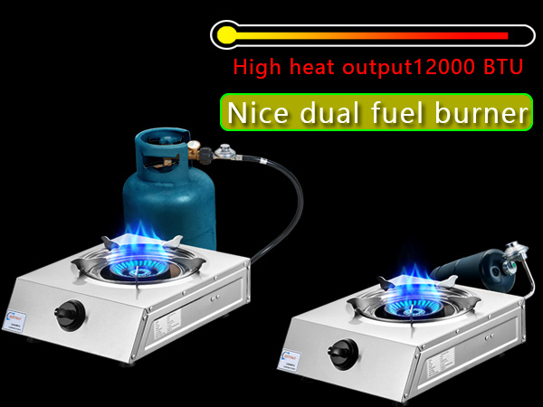 New dual fuel burner