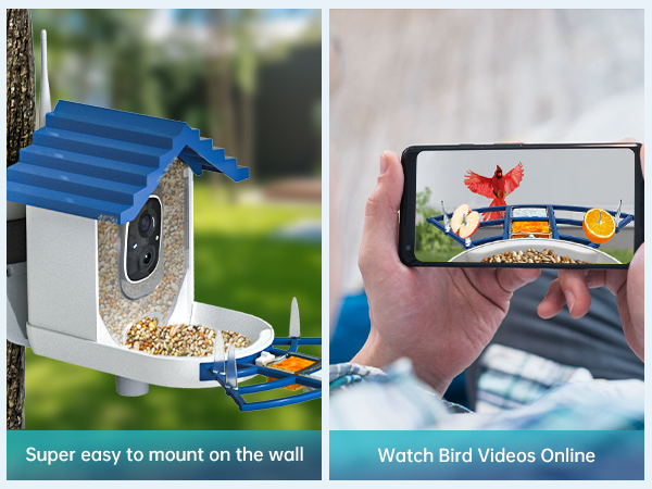 bird feeders for outdoors