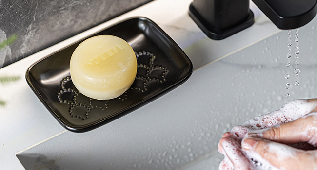 soap dish for shower