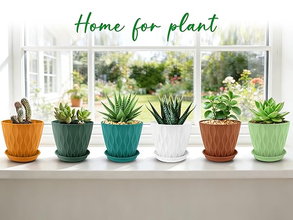 plant pot