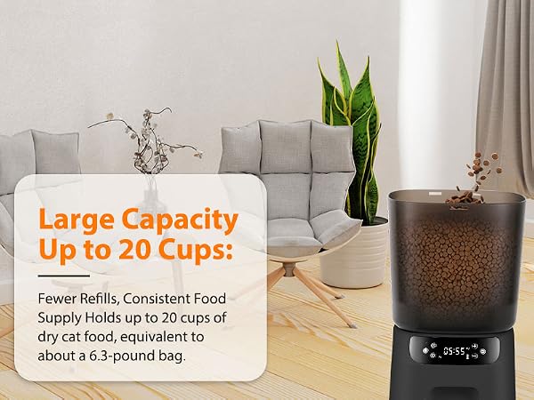 auto cat feeder