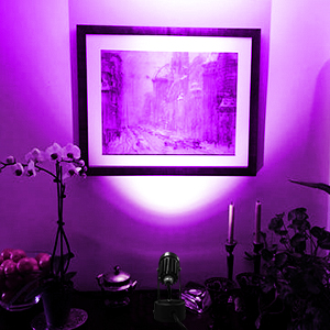 3W RGB Indoor Spotlight