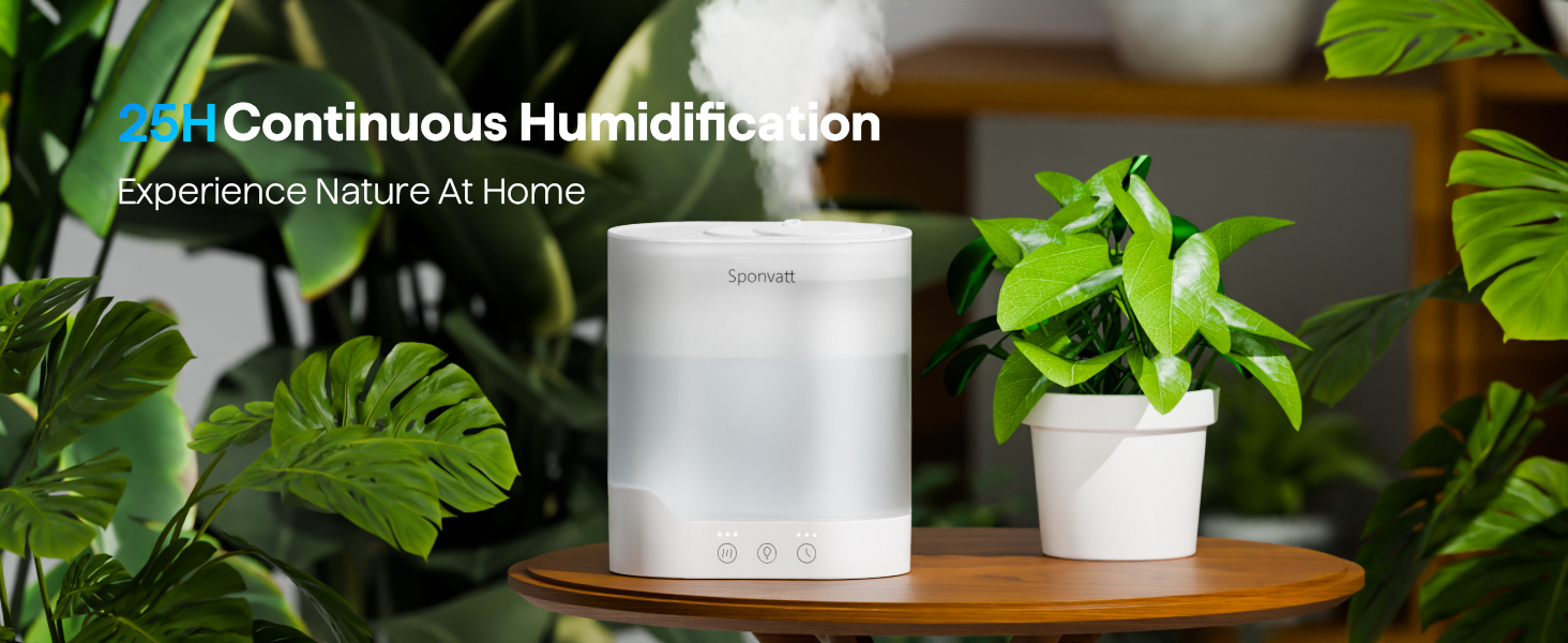 plants humidifiers indoor