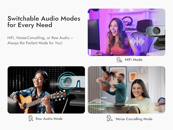 Webcam with Stereo Microphone