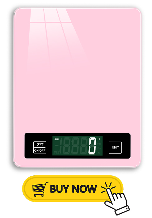 11lb Food Scale