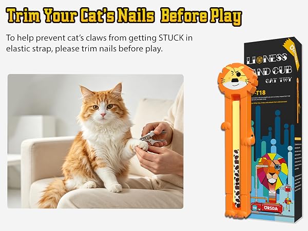 cat toys