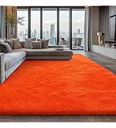 Shag Area Rugs for Bedroom Living Room,Orange 4X6 Ultra Soft Fluffy Area Rugs for Dorm, Indoor Ca...