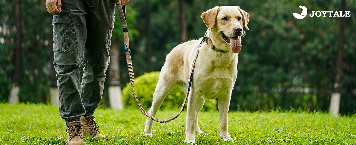 Tactical Dog Leash
