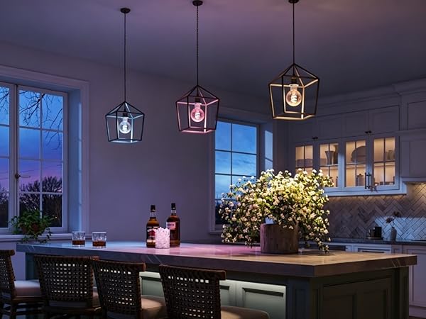 Govee edison bulb