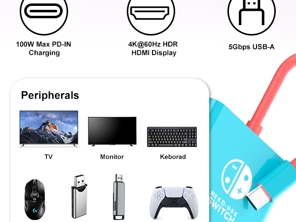 switch dock