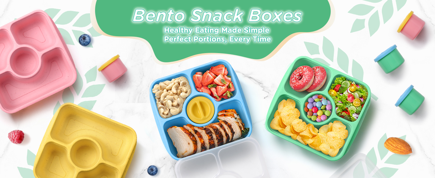 snack box container