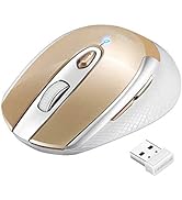 LeadsaiL Wireless Mouse for Laptop, 2.4G Portable Slim Cordless Computer Mouse Less Noise for Lap...