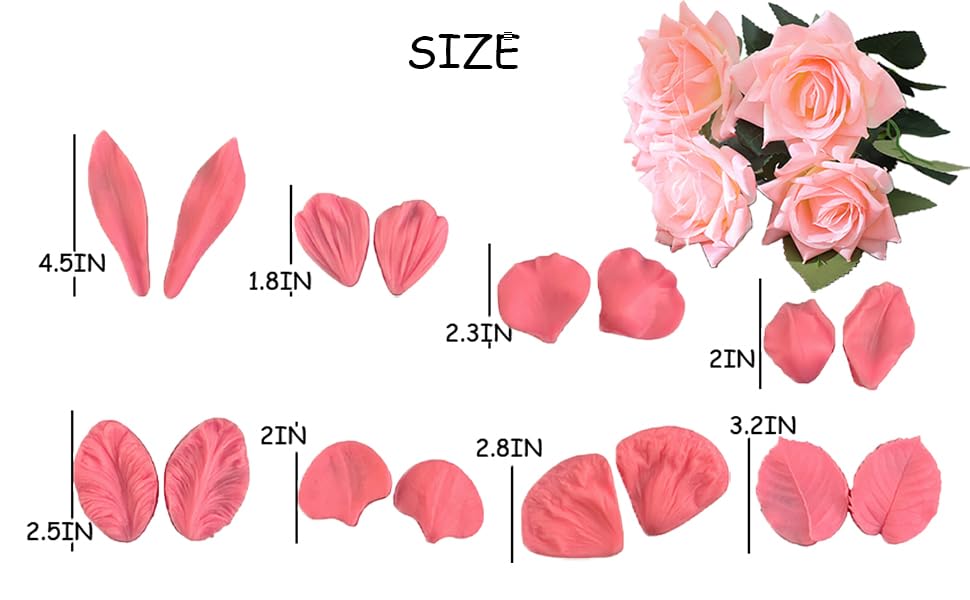 size