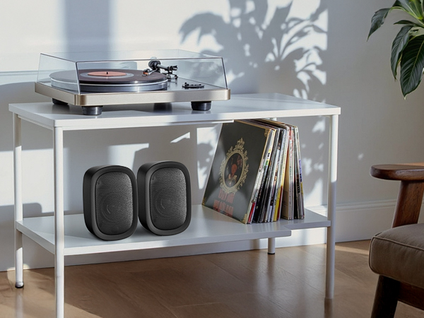 speaker for record player